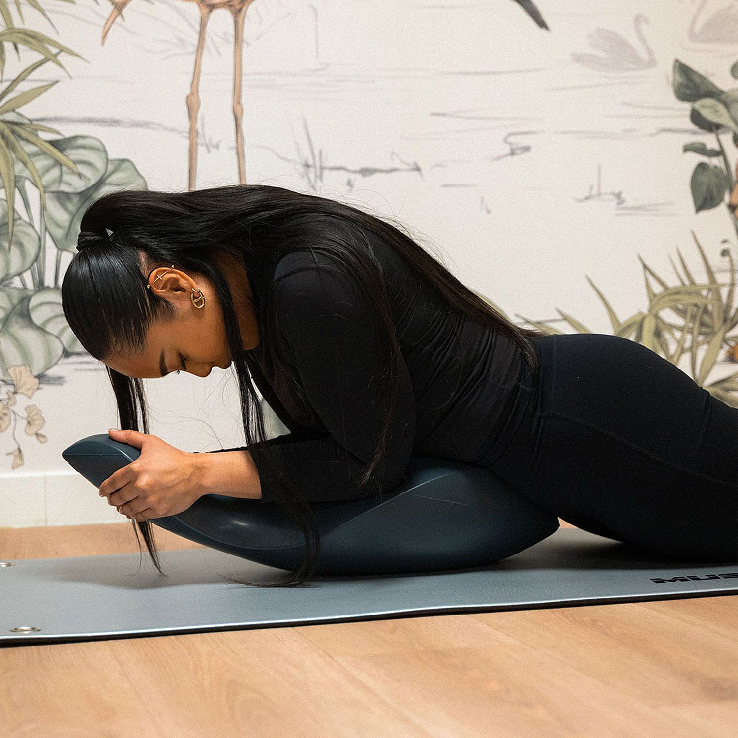 145734-Muscle-Power-Pilates-Dolphin-afbeelding-2
