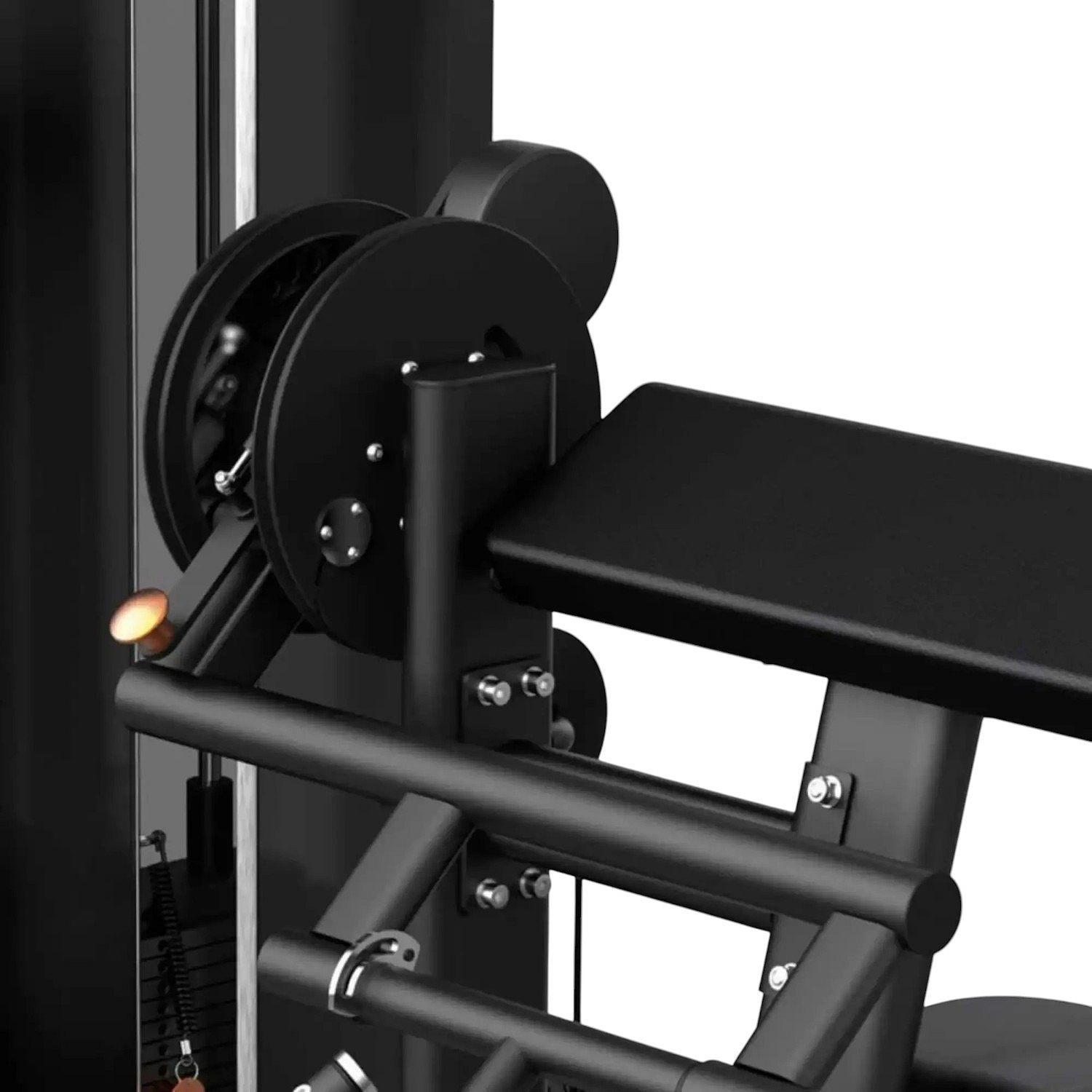 141739-Toorx-Professional-AVANT-PLX-B7700-BicepsTriceps-Curl-afbeelding-2