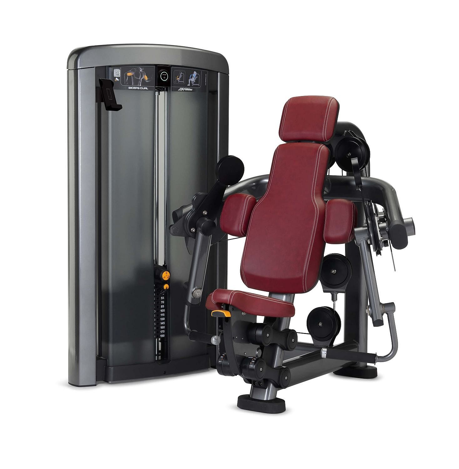121623-Life-Fitness-Insignia-series-biceps-curl-afbeelding-1