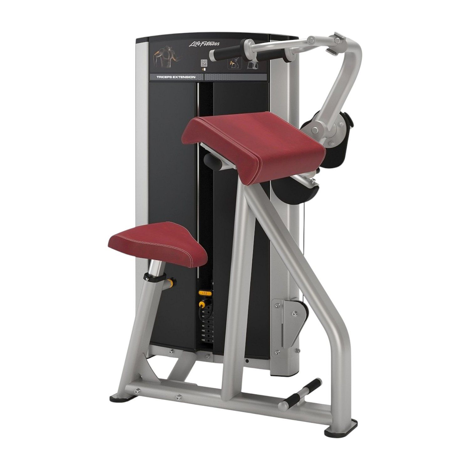 123235-Life-Fitness-Axiom-series-tricep-extension-afbeelding-1