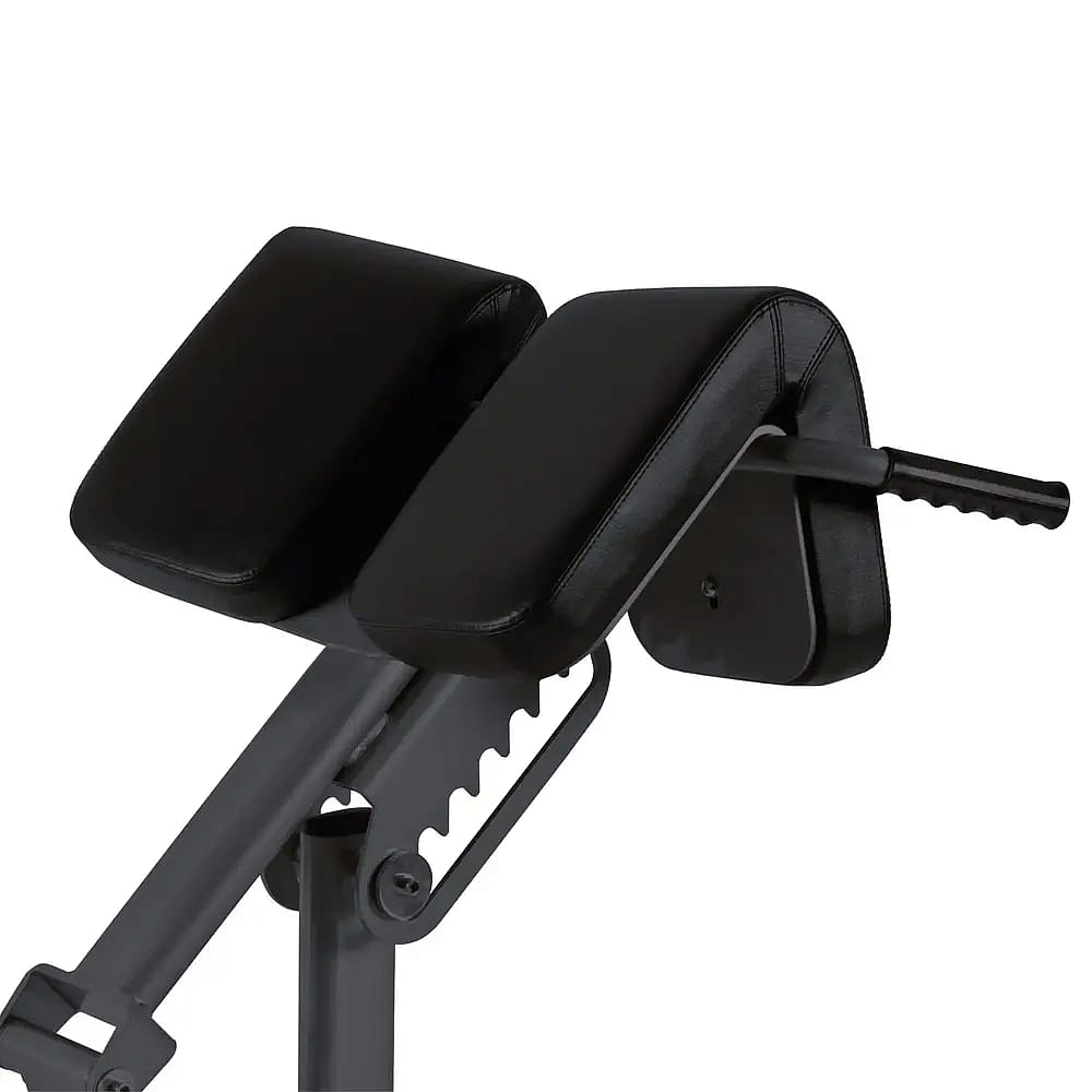 113514-Toorx-professional-Back-Extension-WBX-b2600-afbeelding-2