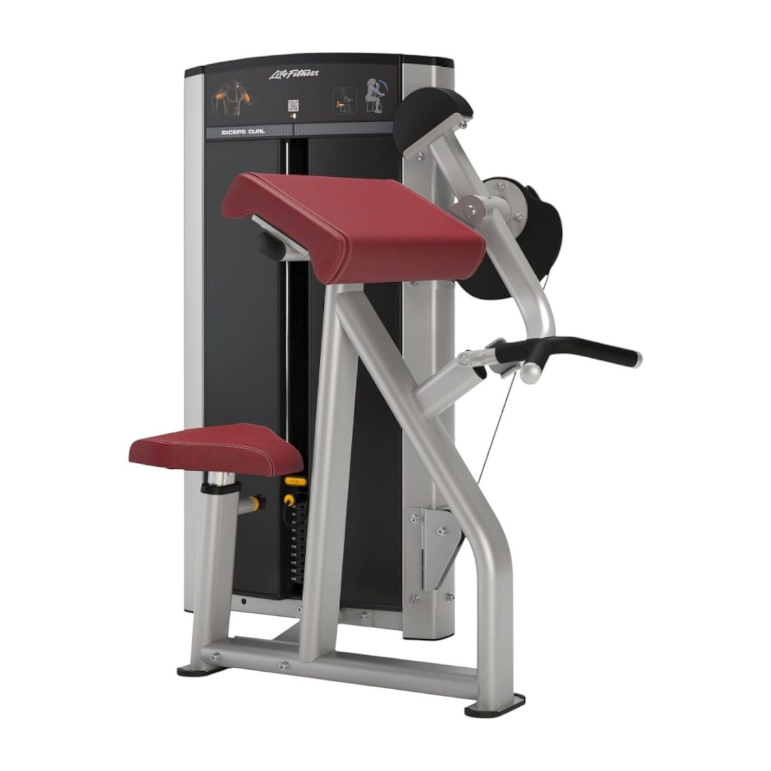 123230-Life-Fitness-Axiom-series-biceps-curl-afbeelding-1