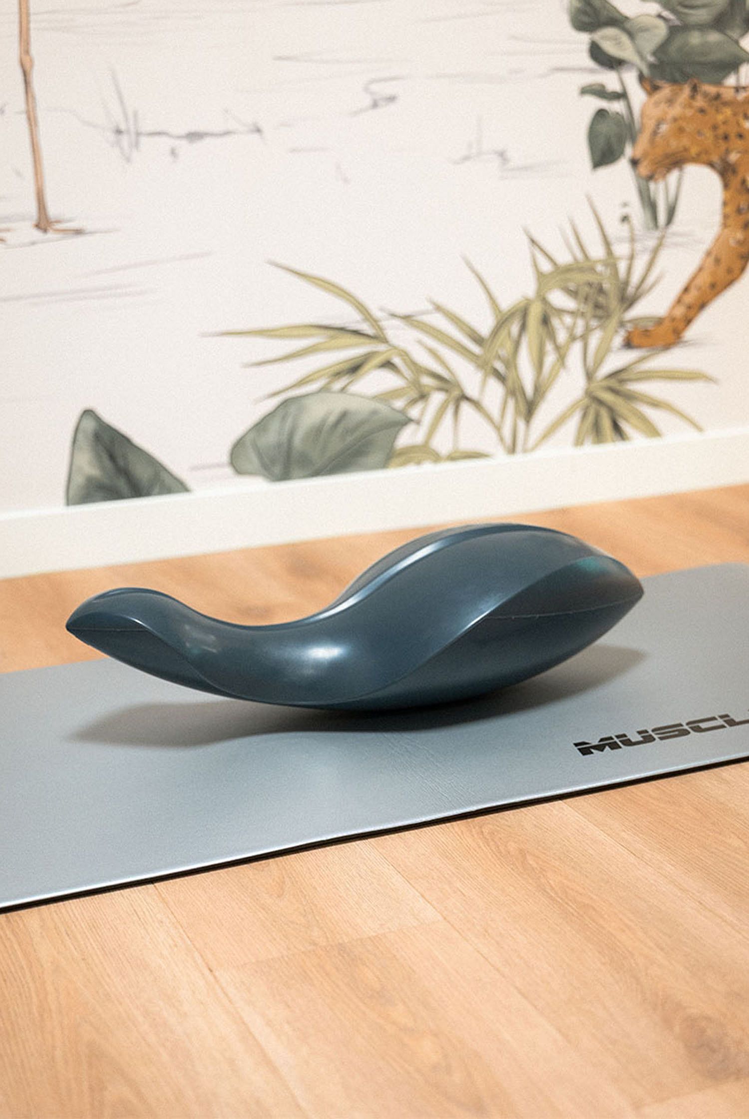 145734-Muscle-Power-Pilates-Dolphin-afbeelding-7